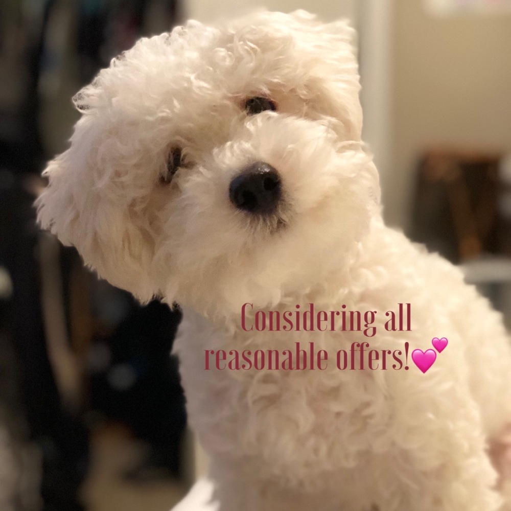 Let’s Make a DEAL✨⚡️💕